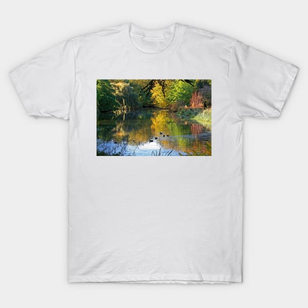 Autumn Colours, West London, October 2019 T-Shirt by RedHillDigital